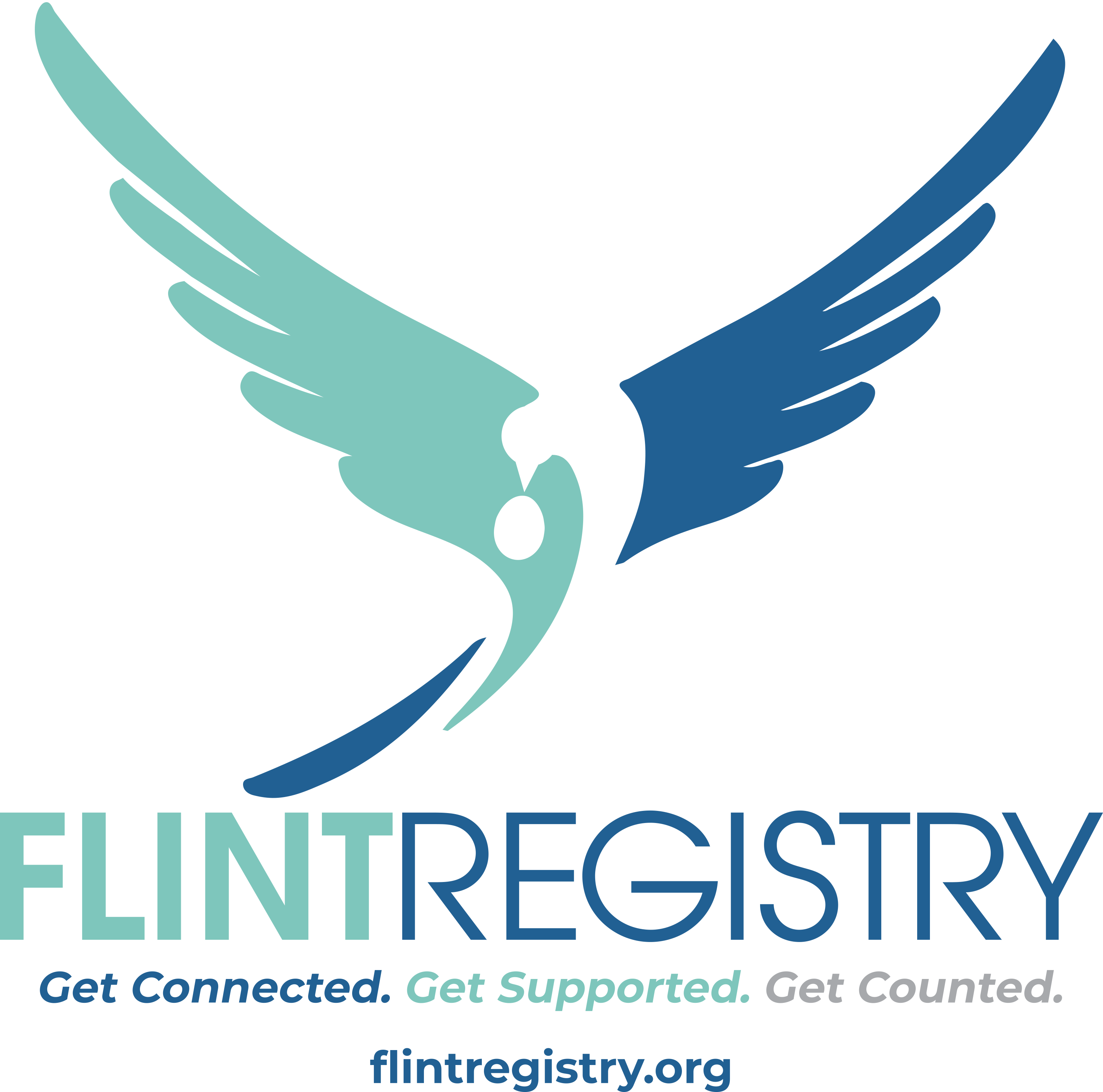 Flint Registry Logo